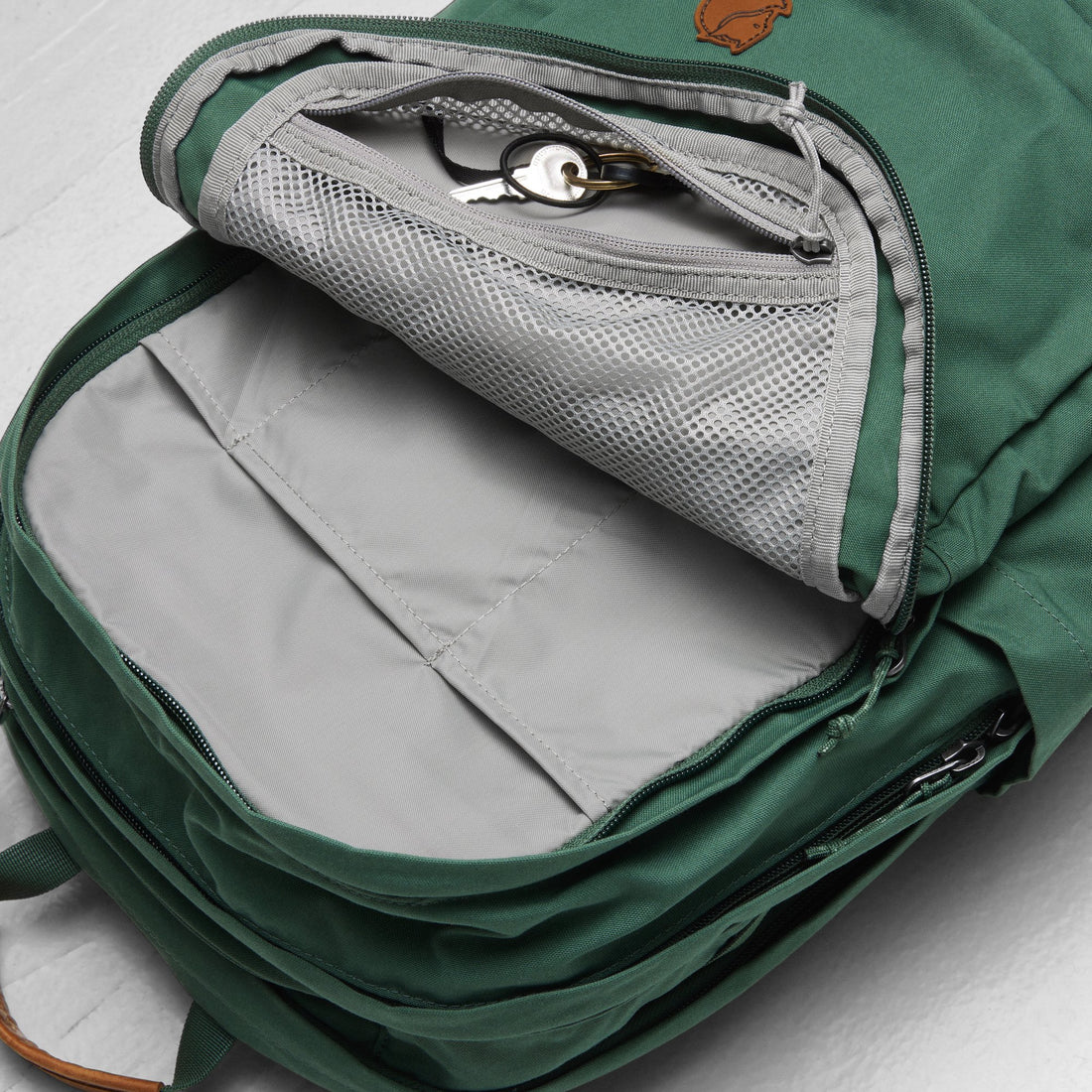 Artic fox, backpack